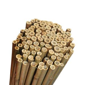 Bambupinne för växtstöd 90 cm