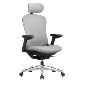 Ergonomisk kontorsstol med flera justeringar och 4D-armstöd i duvgrå